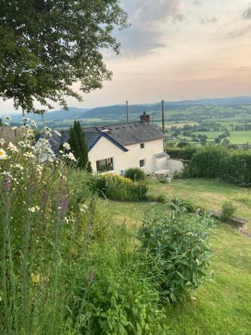 Trinity Cottage Welshpool Eksteriør billede