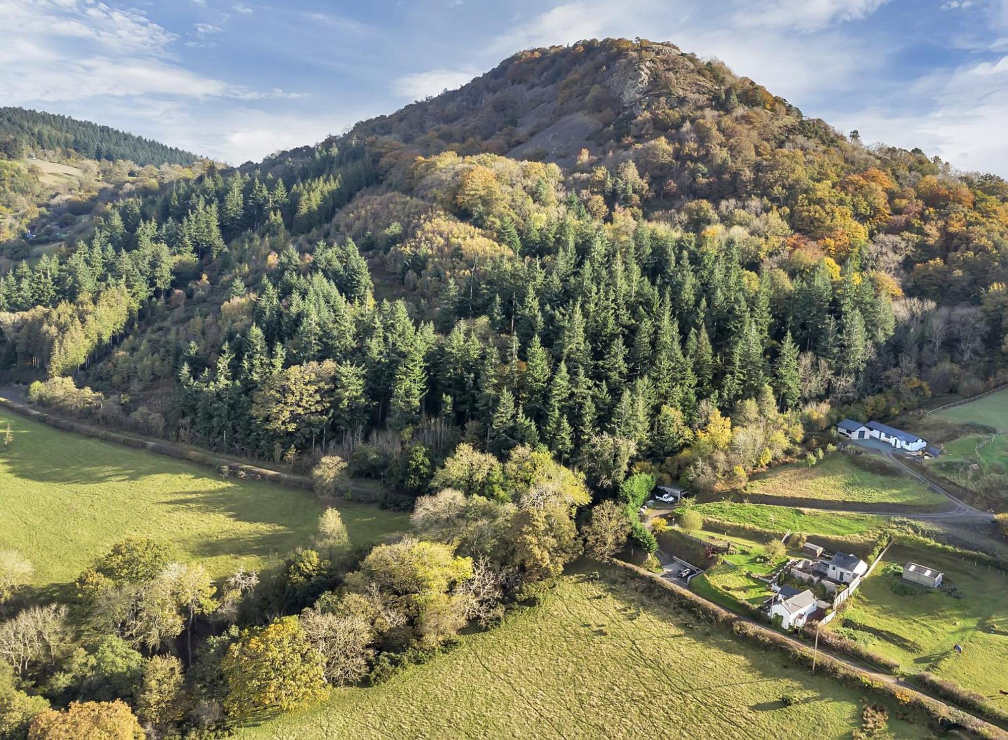 Trinity Cottage Welshpool Eksteriør billede